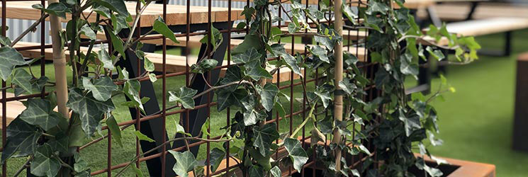 Groenbeheer