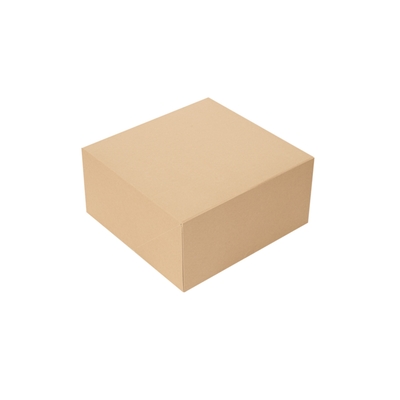 Cateringdoos kraft 24x24x12cm 100st