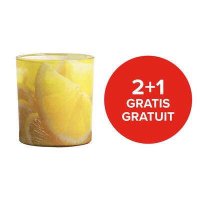 Bougie citronnelle en verre 6 pcs
